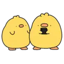 Pelekat