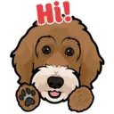 Stiker