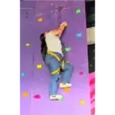 Pelekat