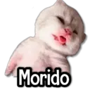 Stiker