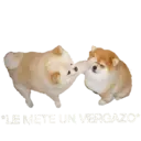 ਸਟਿਕਰ
