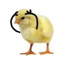 ਸਟਿਕਰ