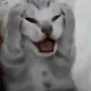 ਸਟਿਕਰ