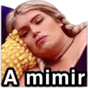 Samolepka