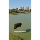 Налепница