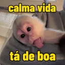 Figurinha