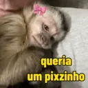 Figurinha