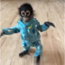 Figurinha