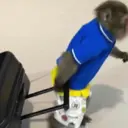 Налепница