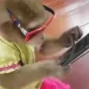 Налепница