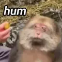 ملصق