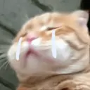 ਸਟਿਕਰ