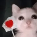 ملصق