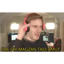 Stika