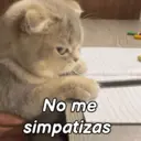 ملصق