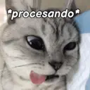 ملصق