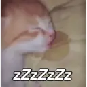 ملصق