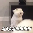ملصق