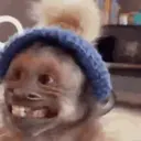 Figurinha