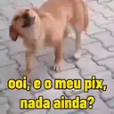 贴纸