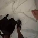 贴纸