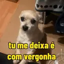 贴纸