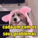 贴纸