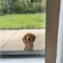贴纸