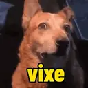 贴纸