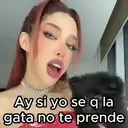 ملصق