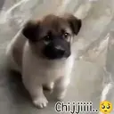 Կպչուն պիտակ