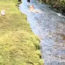 Çıkartma