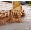 اسٹیکر