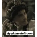 Stika