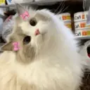 ملصق