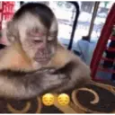 Çıkartma
