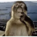 Çıkartma
