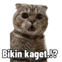 Çıkartma
