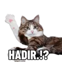 Çıkartma