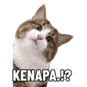 Çıkartma