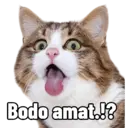 Çıkartma