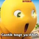 Կպչուն պիտակ