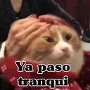 Límmiði