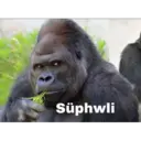 Samolepka
