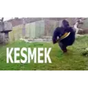 Samolepka