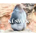 Samolepka