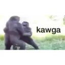Samolepka