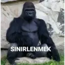 Samolepka