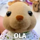Figurinha