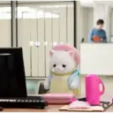 Figurinha